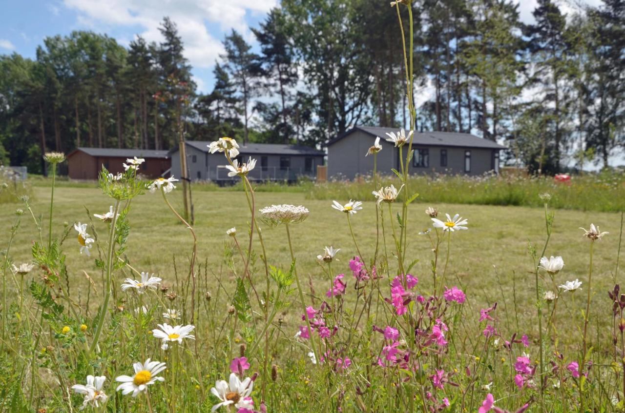 Hollicarrs - Sunflower Lodge York Dış mekan fotoğraf